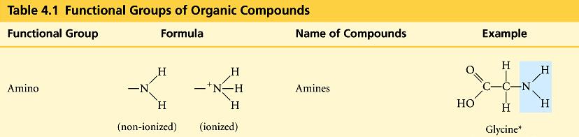 N attached to 2 compounds with N 2 = amines amino