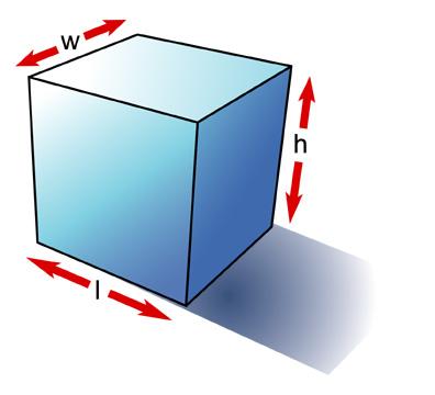 Cell Size The limiting factor of the cell is the surface area to volume ratio Example: a cube with dimensions of 10 x 10 x 10 What is the surface area?