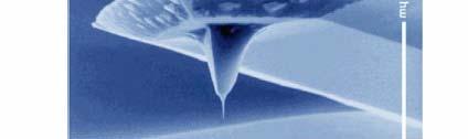 Interaction forces in dynamic AFM Tip-sample interaction Force (F ts ) Nanosensors Gmbh Repulsive Tip-sample gap(d) Attractive