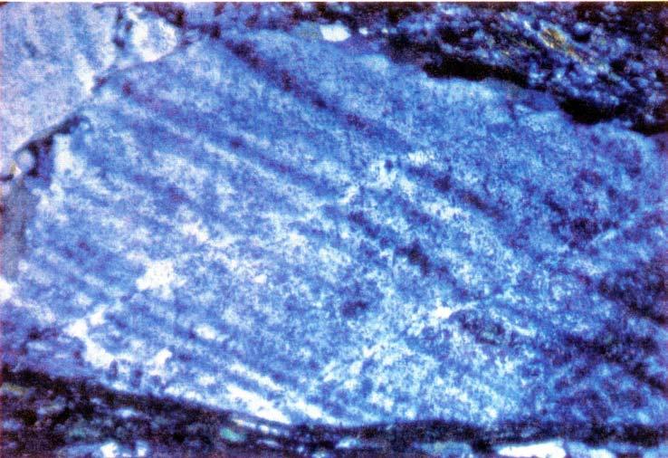 Figure 3.9. Micro cracks in feldspar megacryst offsetting the twin lamellae.
