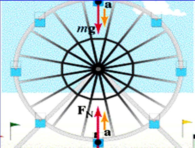 ConcepTest You e on a Feis wheel moving in a vetical cicle.