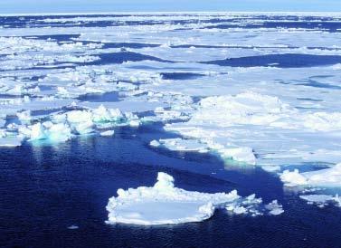late 1990s. Impacts of a decline in sea ice are discussed throughout this report and include increased air temperature, decreased salinity of the ocean s surface layer, and increased coastal erosion.