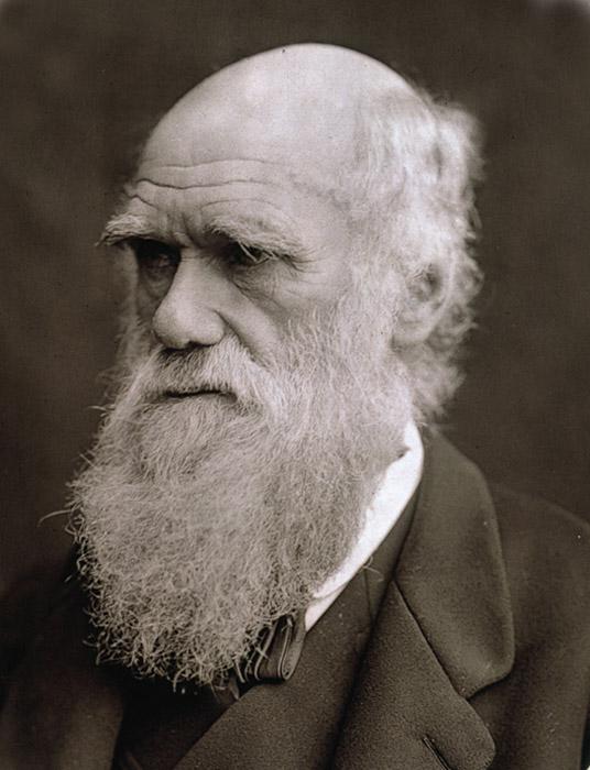 Variation Main idea: Darwin observed variation