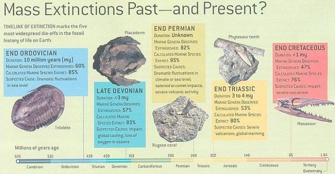 There have been at least 5 major MASS EXTINCTION periods that wiped
