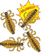 You have to be careful about the way you think about mutations. Mutations occur RANDOMLY.