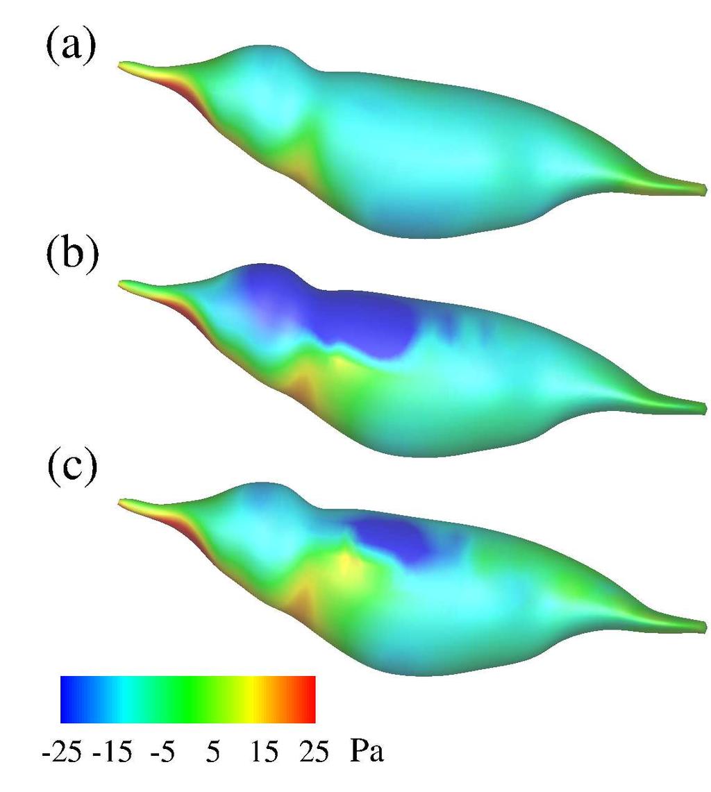 Figure 6.14: The pressure distribution on the bird body: (a) isolated body simulation, (b) full body simulation at mid-downstroke, (c) full-body simulation at mid-upstroke. in Fig. 6.14(b,c) for mid-downstroke and mid-upstroke.