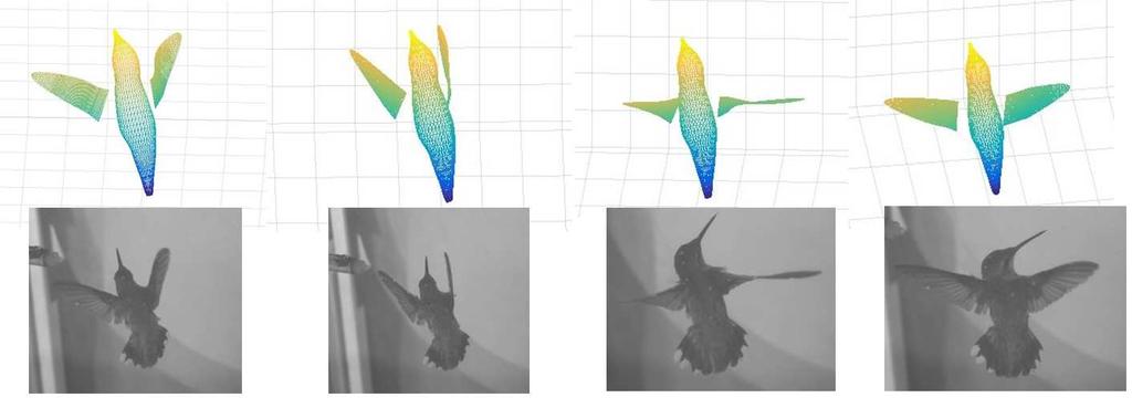 Figure 7.1: Camera view of the hummingbird performing a yaw turn. Two X-ray views are included. Figure 7.