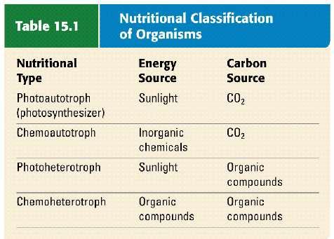 Slide 28 The Nutritional Diversity of Prokaryotes