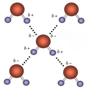 Secondary bonds 2 H-bond: the H-atom interbridges 2