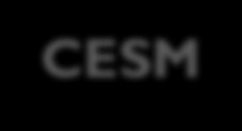 Board CESM Scientific Steering