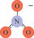 Section 10.3 Types of Chemical Reactions Precipitates and solubility The nitrate anion When a precipitate forms Before we find out why a precipitate forms, consider the polyatomic nitrate ion (NO 3 ).