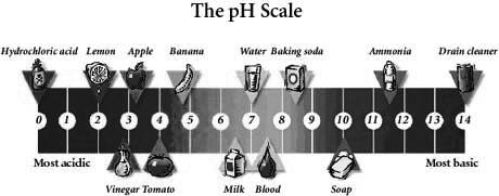 Measuring ph Knowing the concentration of hydrogen ions is the key to knowing how acidic or basic a solution is.
