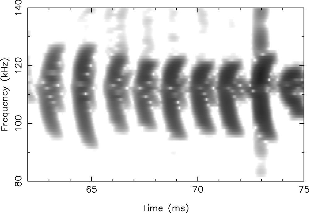 032501-2 Vann, Dendy, and Gryaznevich Phys. Plasmas 12, 032501 2005 f t + v f x + E f v = a f F 0, E t + v f f 0 dv = d E. 5 6 FIG. 1. Experimental observation of frequency chirping in nine successive bursts of high frequency MHD activity.