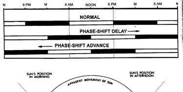 2001 11 Movements and Orientation Orientation 2. Compass - Sun position changes daily and seasonally 1.