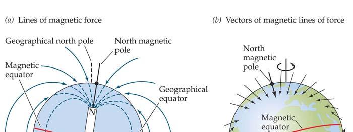 Movements and Orientation Orientation 1. Local 2. Compass 3. Magnetic/Navigation 3.