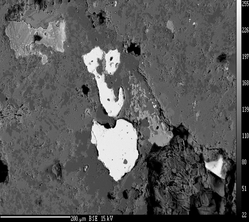 electron images of pyrite and Fe-oxide grains