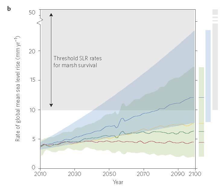 Figure 3b. Threshold rates of sea level rise (grey band) above which marshes are not able to survive.