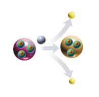 leptons as basic constituents of ordinary matter By pointlike