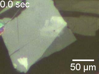 Optical image of mobile blisters (indicated by yellow arrow) within an hbn-graphene heterostructure on PPC/PDMS