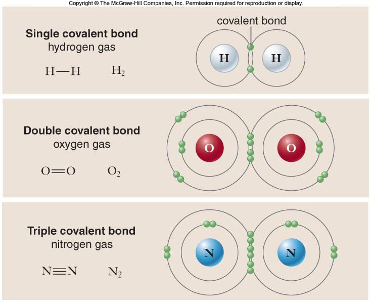 One atom may have more than one single bond.