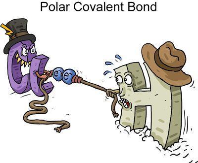 Covalent Bonding Occurs between NONMETALS Nonmetals have high electronegativities and want to gain more electrons. They cannot lose valence electrons.