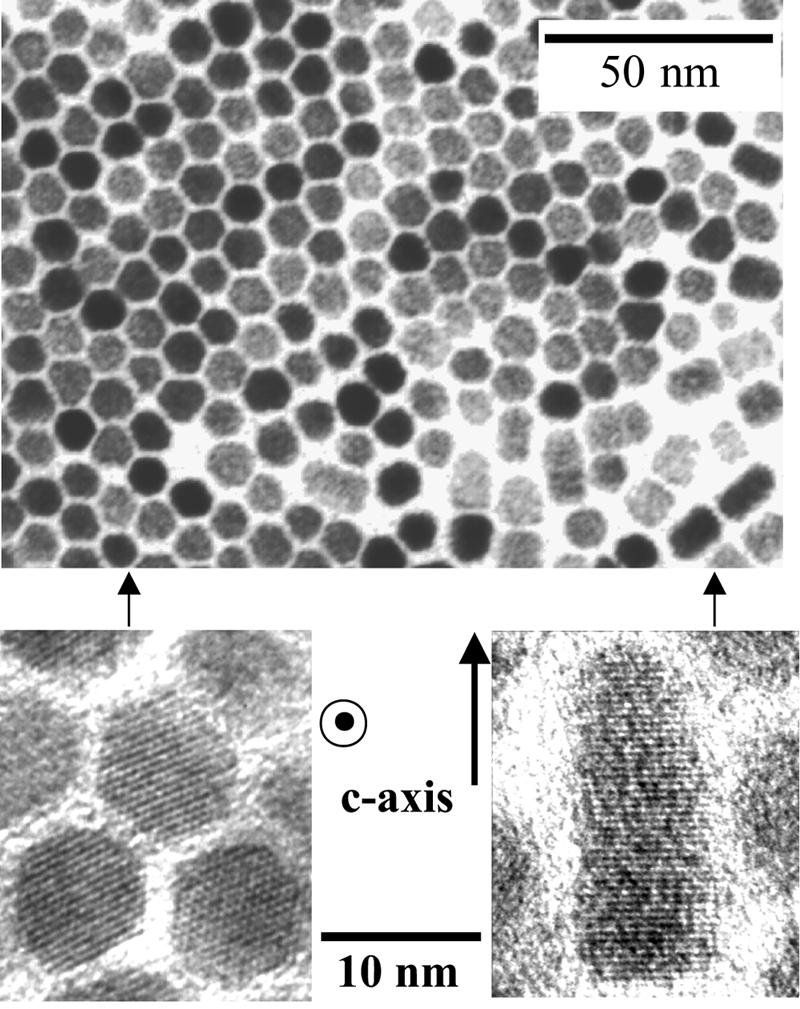 4 P. ALIVISATOS Fig. 1 Transmission electron micrograph of a field of CdSe nanocrystals. Each crystallite is faceted, and surrounded by one monolayer of surfactant.