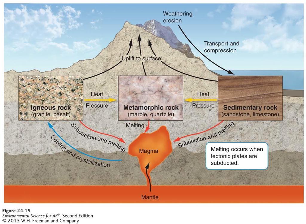 The Rock Cycle The rock cycle. The rock cycle slowly but continuously forms new rock and breaks down old rock.