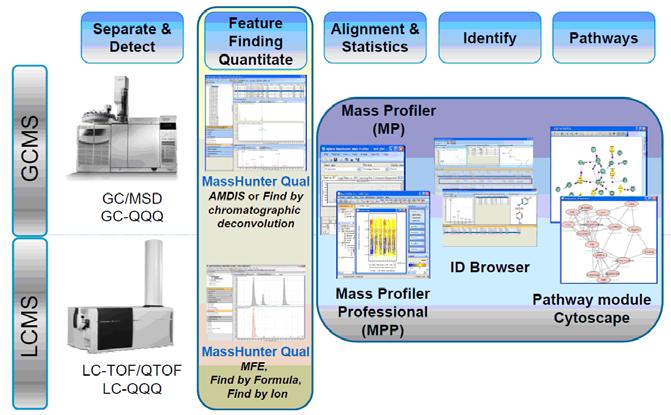 Before You Begin Required items Required items The Metabolomics Workflow performs best when using the hardware and software described in the required sections below.