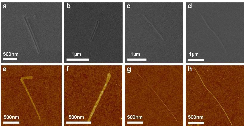Supplementary figures and captions Figure S1. 1kV SEM images (a) (d) and the corresponding AFM images (e) (f) of GNRs on SiO 2 /Si substrate. GNRs in (c), (d), (g) and (f) are sub-10nm in width.