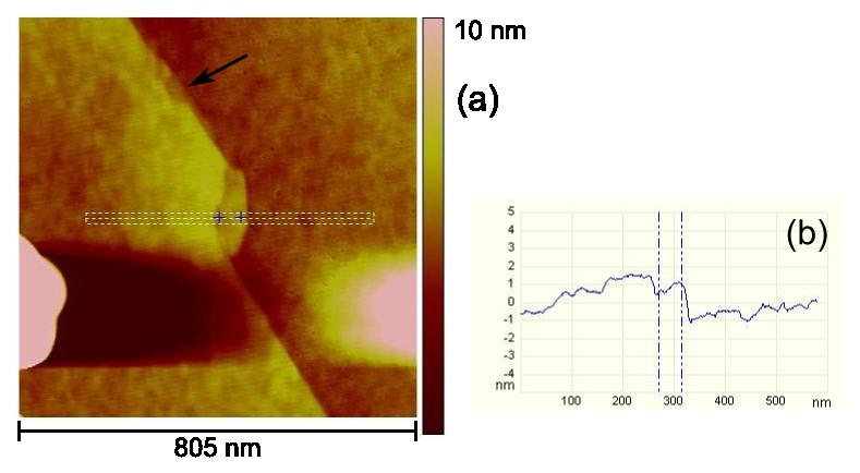 Figure 4 (a) Tapping-mode ambient AFM topography image around the edge of a piece of CVD graphene transferred from copper to nominal 300 nm SiO2.