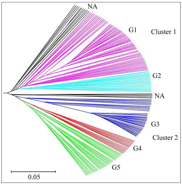 PC2 (7.4%) revealed 3 major groups (Figure 3) and the pattern of grouping was the same as for the model-based population partition at k=3. 1.