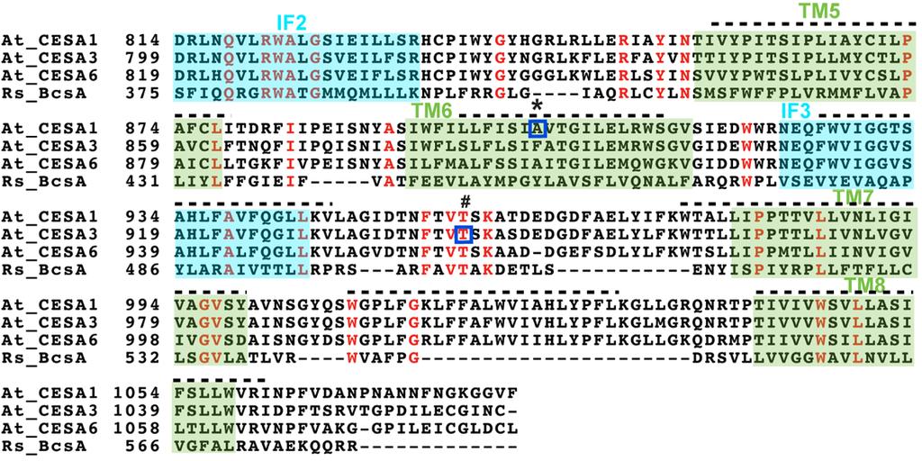 SUPPLEMENTARY INFORMATION RESEARCH Supplementary Figure 1 Sequence alignment of Rhodobacter sphaeroides BcsA and Arabidopsis thaliana CESAs. Residues 1 to 580 of R.