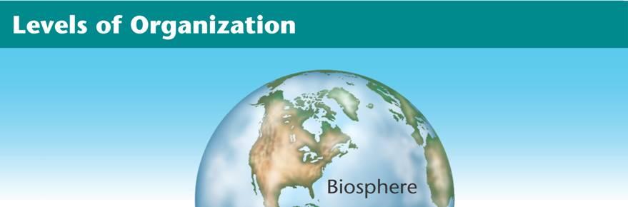 Branches of Biology Biosphere The part of