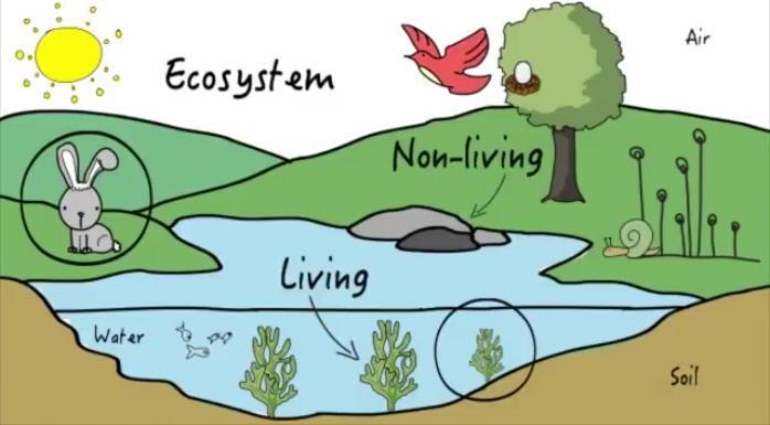 An ecosystem is the habitat and the community considered together.