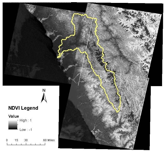 Figure 5. Landsat NDVI results combined into one raster. The values of NDVI do not have a general physical meaning, but must be classified for the landscape and vegetation being studied.