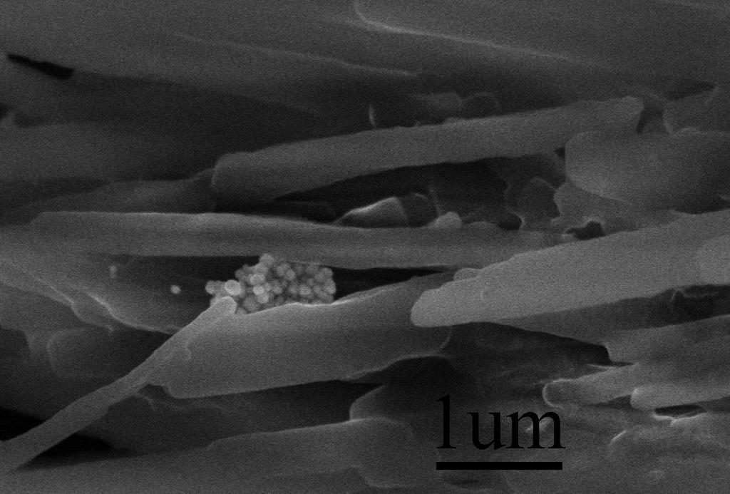 Figure S4. SEM micrograph of the mixture physically mixed L nanofibres and Ag NCs Table S1. Time-resolved FL results for the nanofibres and nanohybrid. τ 1 (ns) χ 2 L nanofibres 0.20 1.