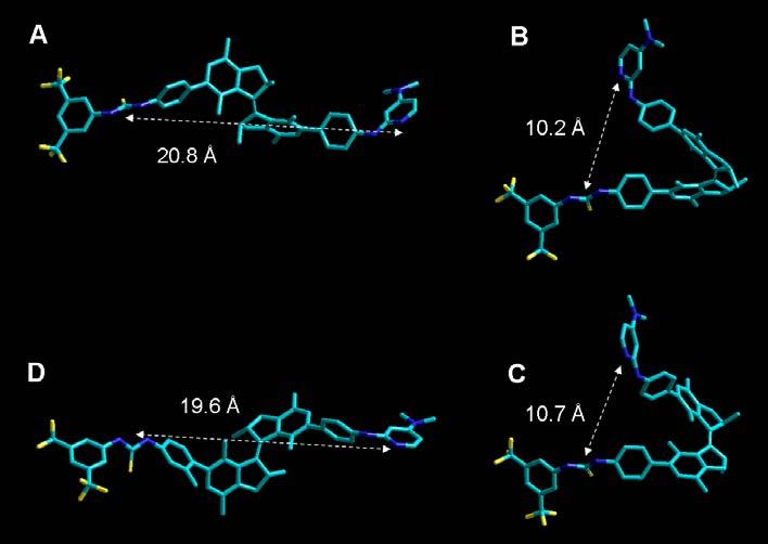 Fig. S11. Molecular modeling of compound 1 in each isomerizing state, (A) (2R,2 R)-(P,P)-trans-1, (B) (2R,2 R)-(M,M)-cis-1, (C) (2R,2 R)-(P,P)-cis-1, (D) (2R,2 R)-(M,M)-trans-1.