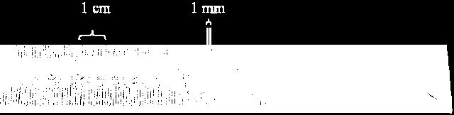000001 m (1 X 10-6 m) nanometer (nm) 0.
