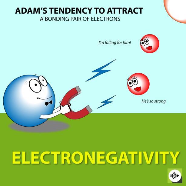 9. Electronegativity This is a measure of an atom s attraction on a shared pair of electrons.