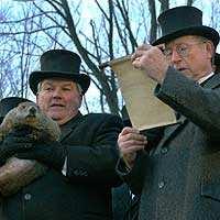 How accurate are Punxsutawney Phil and Wiarton Willie?