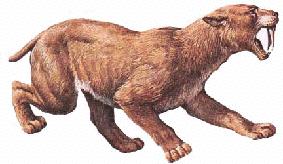 (Smilodon): placental mammal (Thylacosmilus): marsupial