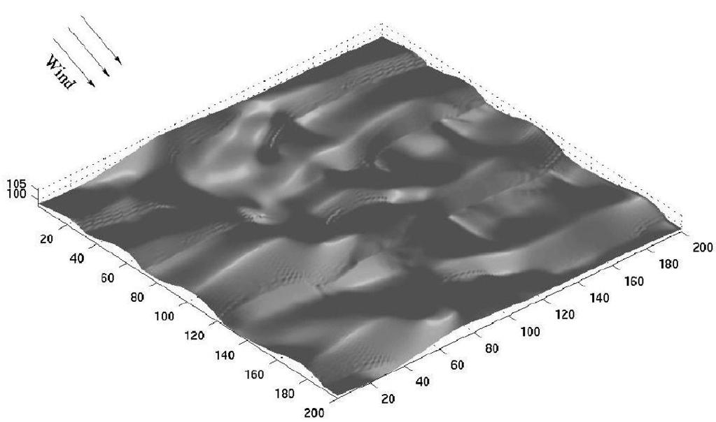 Figure 5: Surface of a transverse dune field with periodic boundary conditions in both directions 1.19 years after initiation. The shear velocity is u = 0.4 m s 1.