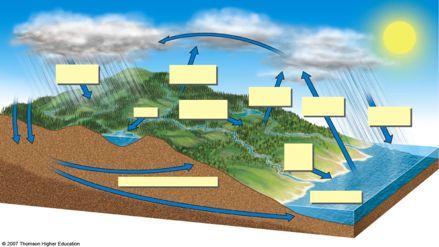 Nutrient Cycles Nutrient Cycles: Water Rain