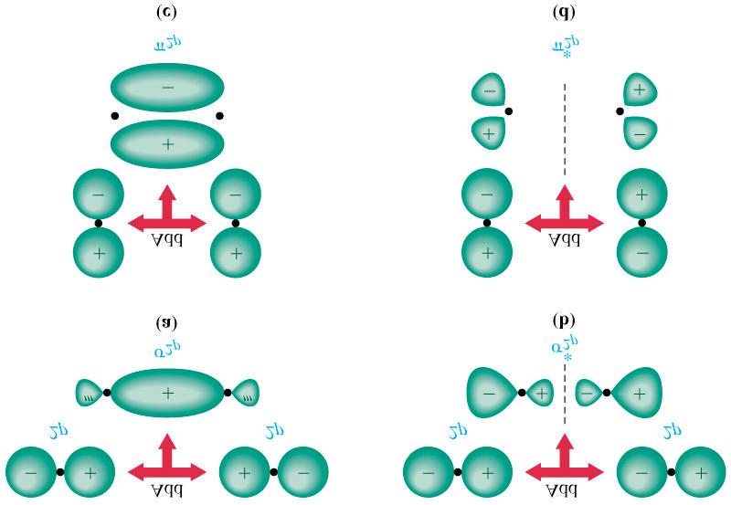 Molecular Orbitals of the Second Period