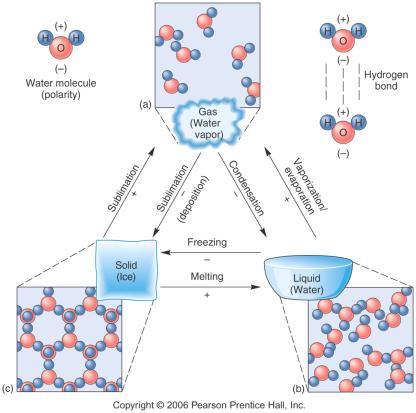Unique Properties of Water Three States of Water This Polarity result in a very strong bonding: the hydrogen bonding, which explains Surface