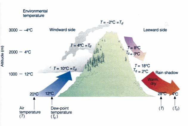 Effects of Mountains on Local Climate Moist convection can explain the local climate effect of mountains, namely the tendency for large mountain ranges to have excess precipitation on the upwind