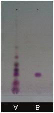 =0.58) Eluent system: 4 Chromogenic Agent: B (A) extract of