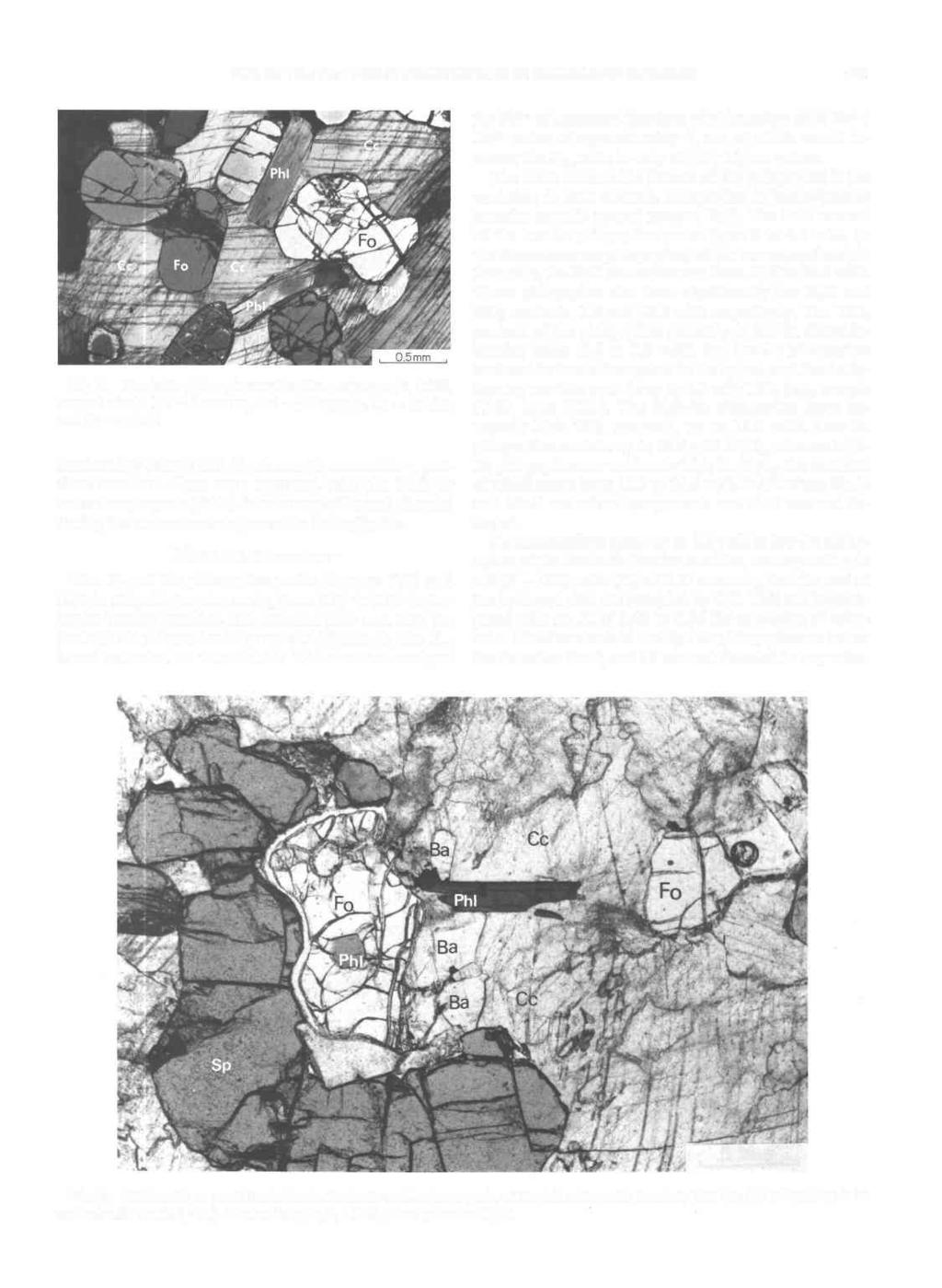 BOL ET AL.: Ba-Ti-RICH PHLOGOPITES IN ROGALAND MARBLES 441 Fig. 2. Forsterite-phlogopite marble. Photomicrograph, A122, crossed nicols.