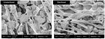 Fig. 8 SEM micrographs of ICPCS sediments after one week of storage