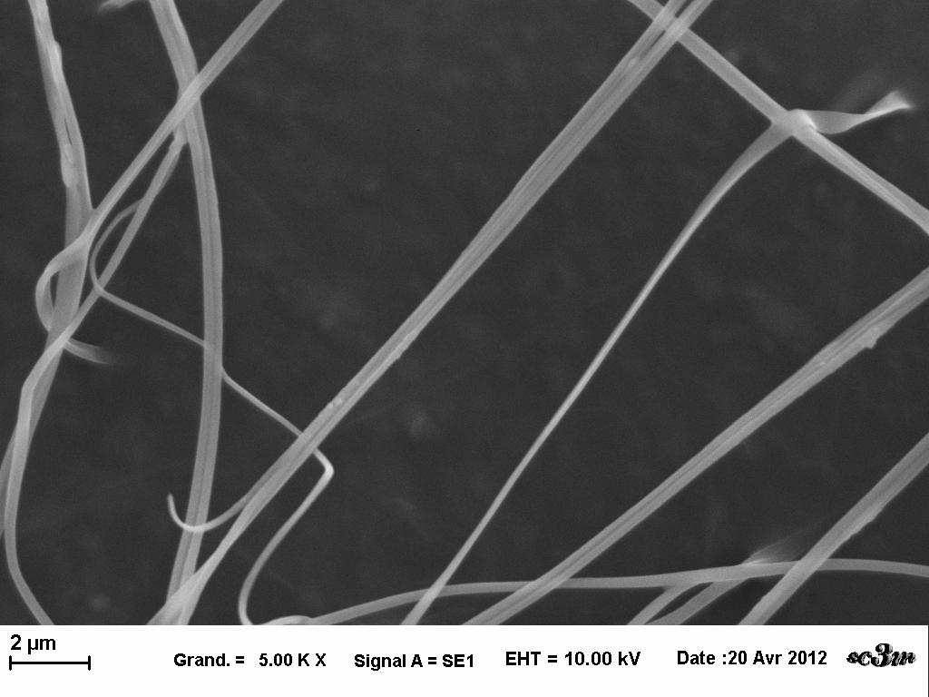The fibers fixed on the collector only by one extremity after projection, stood straight up in the electrical field. SEM images revealed the creation of micron fibers (Figure 4).